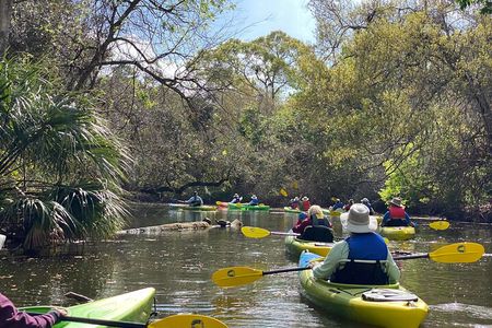 Manatee and Dolphin Kayak Tour