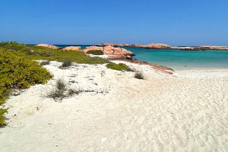 Full Day Camping in Daymaniat Island