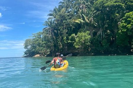 Puerto Viejo Sloth Jungle and River Kayaking Tour