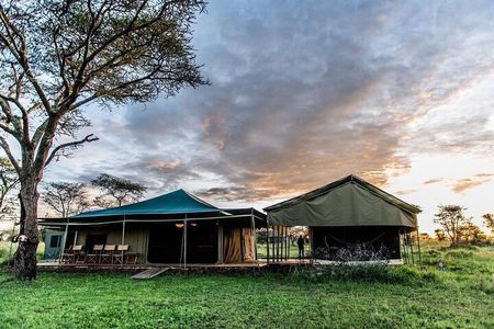 3 Days Safari Adventure in Tarangire and Ngorongoro Crater