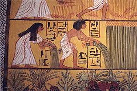 Luxor west bank private half day tour,Habu temple&Deir el Medina 