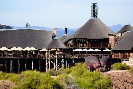 2-Day Buffelsdrift Game Lodge Safari with Cango Caves Shared Tour