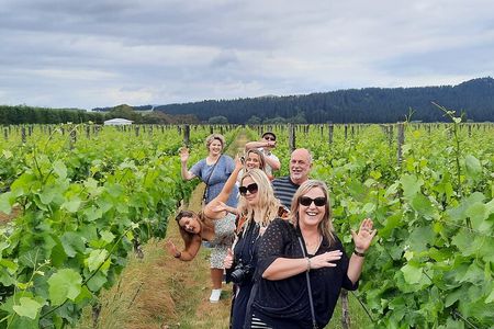 Half Day Martinborough Winery Tour from Wellington