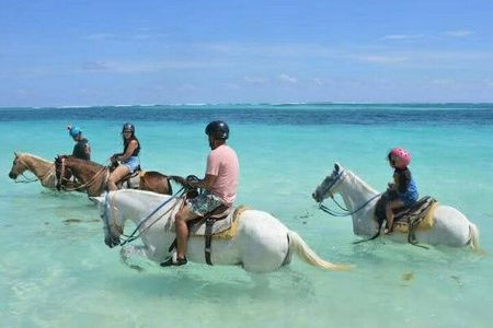 Horse back riding (Punta Cana/Bavaro)