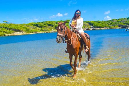 Horse back riding (Punta Cana/Bavaro)