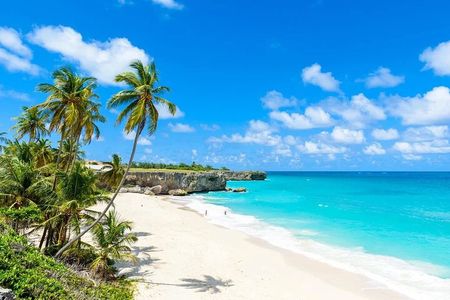 Beautiful Coastal Sightseeing Tour of Barbados