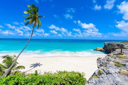 Beautiful Coastal Sightseeing Tour of Barbados