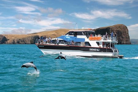 Akaroa Day Tour From Christchurch & Lyttelton