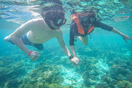 All Inclusive Full-Day Tour Phi Phi Islands from Phuket