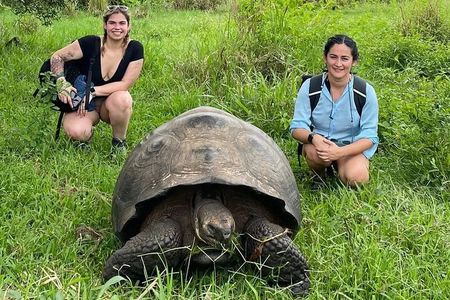 Giant Turtle Watching and Lava Tunnels Tour