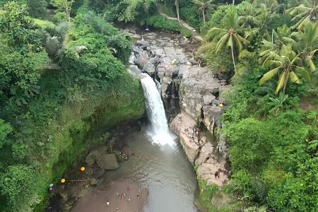 Full-Day Bali Tour to Visit The Best Places in Ubud