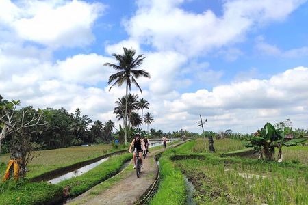 Ubud eBikes Tour to Tegallalang Rice Terrace