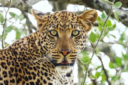 2 Day Tanzania Tour