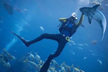 Scuba Diving at Jumeirah Dubai with Private Transfer