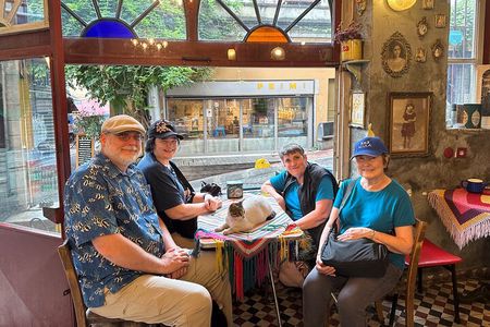 Private Layover Tour in Istanbul with options