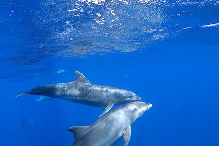 Full day Sailing yacht - Beautiful day on the Atlantic Ocean 