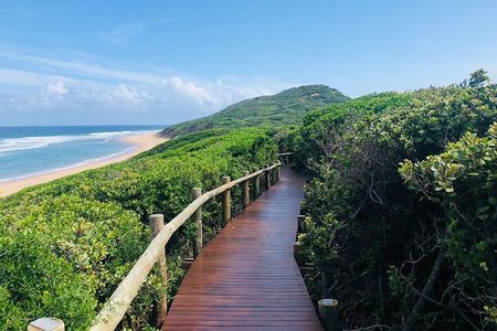 2 Day Tour in Maputo National Park(Maputo Special Reserve) 