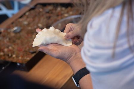 BA: Premium Empanadas Cooking Class & Wine Tasting in Palermo