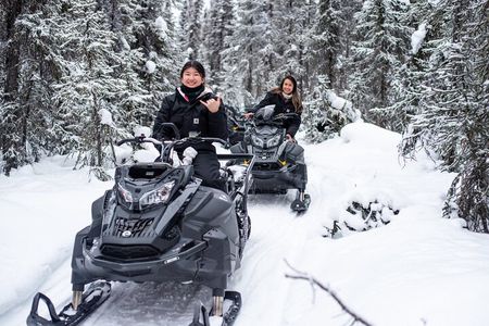 Reindeer and Snowmobile Day Trip