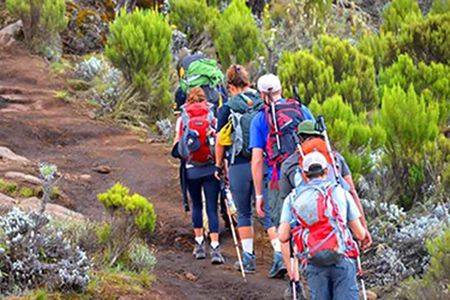 Kilimanjaro day trip starting from Arusha
