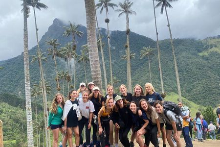 1 Day Private Tour in Cocora Valley Hike 
