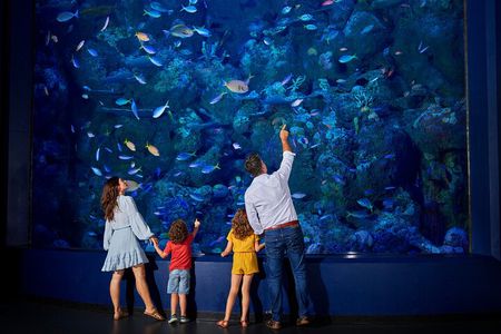 Night at the Aquarium Tour 