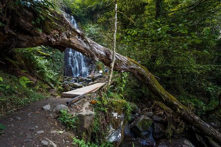 Batumi, Waterfalls & Folklore - A Group Tour from Kutaisi