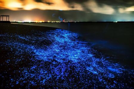 Phuket: Phang Nga Bay Bioluminescent Plankton and Sea Canoes tour