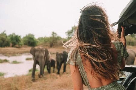 Kandy to Anuradhapura Shuttle & Safari Drive