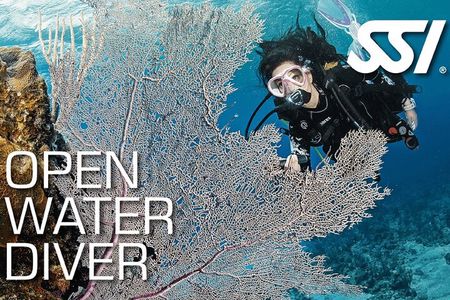 Open Water Course in Koh Samui