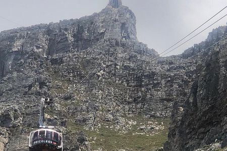 Small Group Table Mountain Penguin Colony and Cape Point Tour