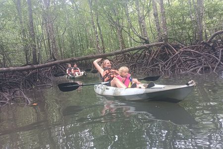 Half-day 4 Hours Kilim Mangrove Kayaking (Without hotel pickups)
