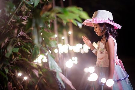 Explore Mystical Wonderland of Dream Forest Langkawi with Pickup