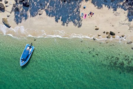 Tropical Dunk Island Half Day Activity from Mission Beach