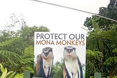 Half Day Private Tour of The Spice Isle