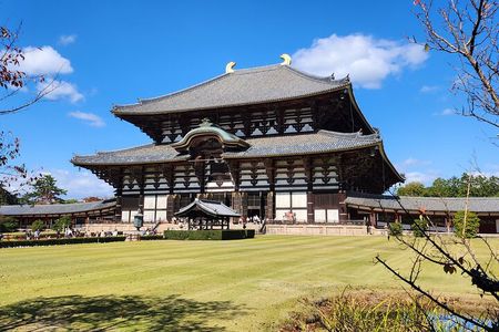 Full Day Guided Tour to Nara from Osaka by Van