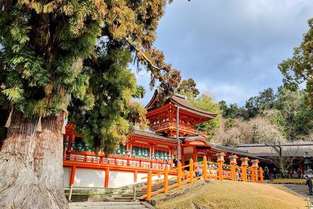 Full Day Guided Tour to Nara from Osaka by Van