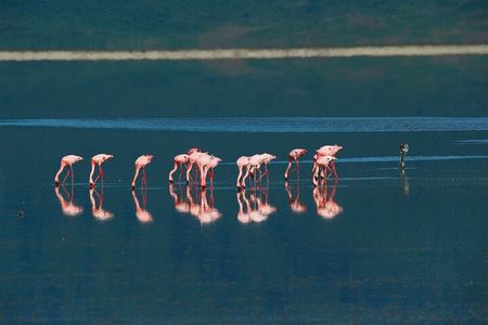 A Private Day Trip to Ngorongoro Crater