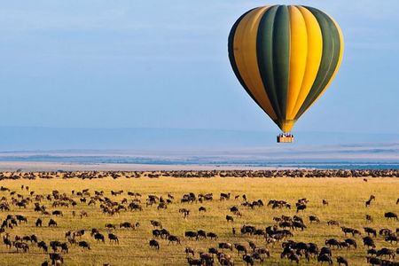 3 Days Private Tour in Maasai Mara With 4*4 Vehicle