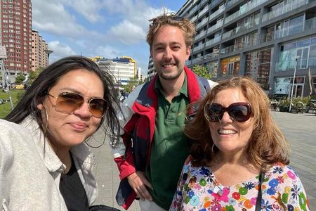 Private Tour of The Hague, Delft and Rotterdam with Lunch