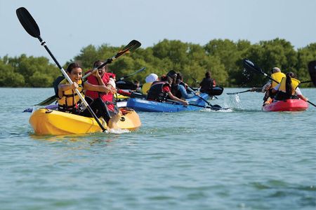 4 Hours Purple Island Mangroves Kayaking Adventure in Qatar