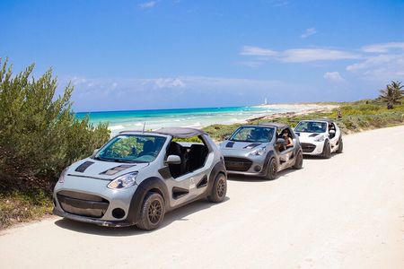 Private Buggy Tour and Punta Sur Park in Cozumel