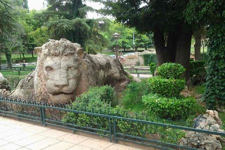 Middle Atlas Mountains, Cedar Forest and Azrou Day Trip from Fez