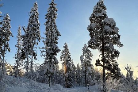 Top of Oslo Snowshoe Tour