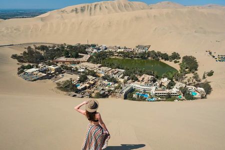 Day Trip PRIVATE Tour Paracas, Ica and Huacachina from Lima 
