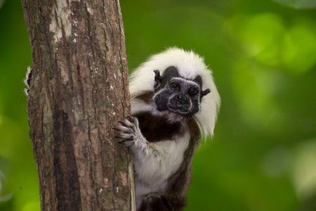 UTV Safari in a Wildlife-Filled Nature Reserve Near Cartagena