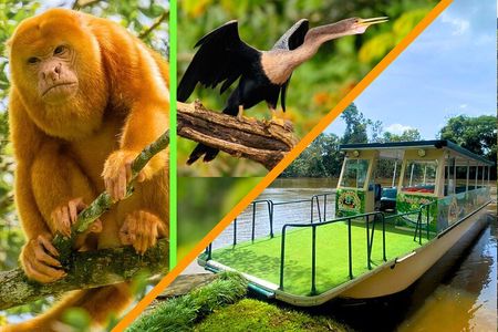 Wildlife Boat Trip Caño Negro 