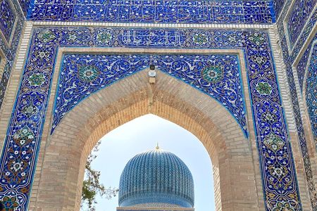 Samarkand from Tashkent by High Speed Train Private One Day Tour