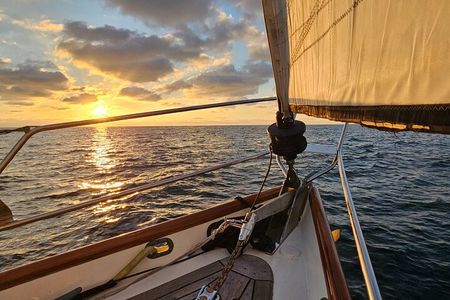 Experience Oceanside Sailing with Whales and dolphins!