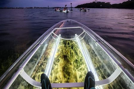 Siesta Key, FL - Clear Kayak LED Night Glass Bottom Tour